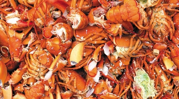科學(xué)家認(rèn)為蝦蟹殼作為可再生資源價值巨大