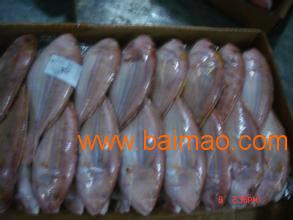 青島進口海鮮清關(guān)代理公司 生產(chǎn)廠家、價格與海鮮進口全解析