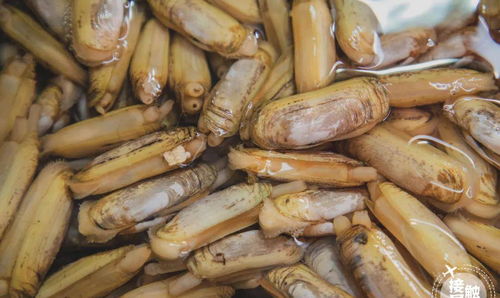 吳井路理想海鮮市場 昆明菜場界的“最大BOSS”海鮮