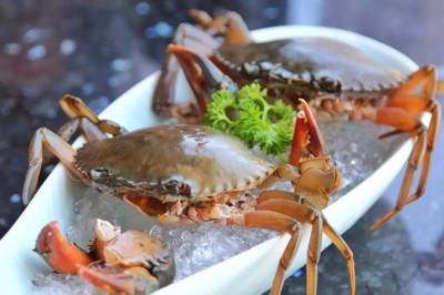 198元龍蝦海鮮拼盤免費送！品味鮮香，暢享海鮮火鍋盛宴